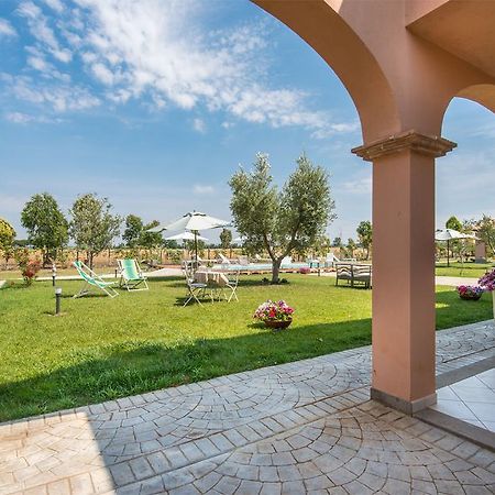 Vila Agriturismo Pian Di Spille - Golf Tarquinia Exteriér fotografie